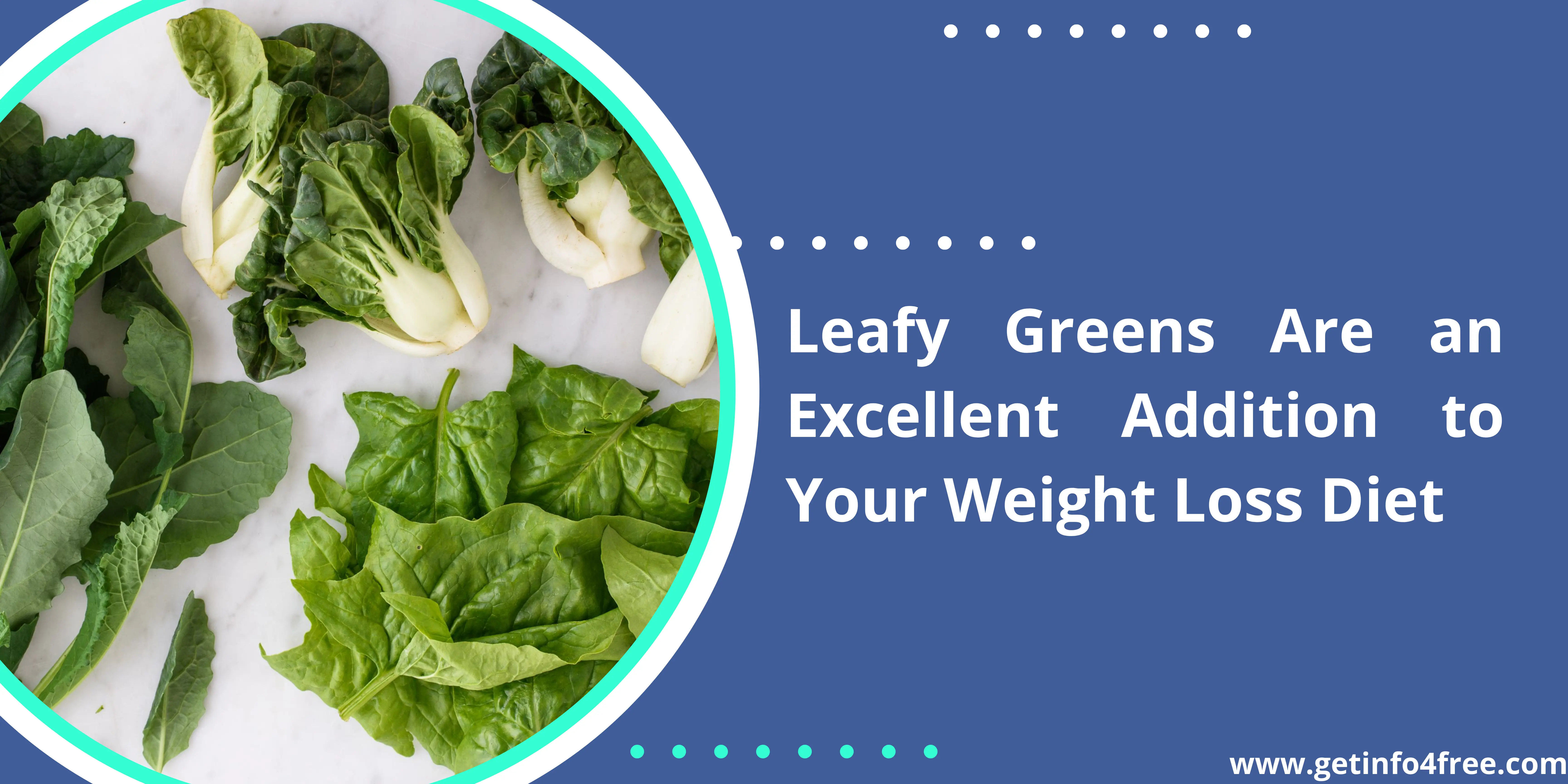 Leafy Greens Are an Excellent Addition to Your Weight Loss Diet